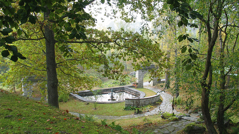 En lummig trädgård med en bassäng med låg stenkant.