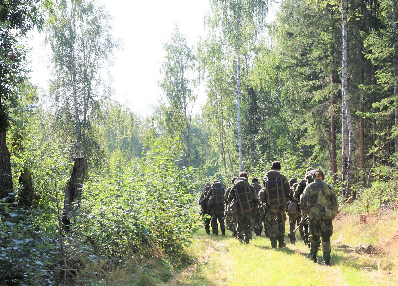 Flera kamouflageklädda personer med ryggarna mot fotografen går genom en skog.