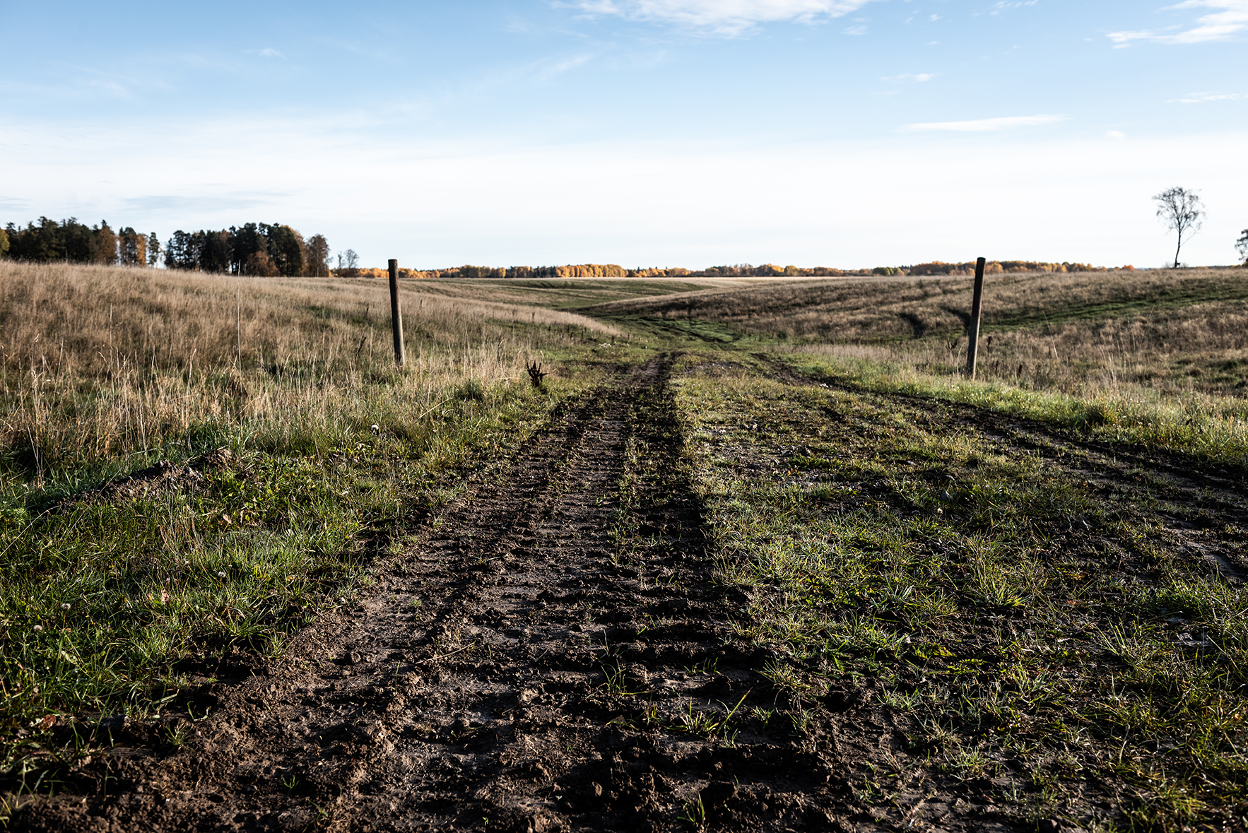En gul och röd lång byggnad med höga träd som har löv i gula och gröna nyanser. Utanför byggnaden står tre personer och pratar med varandra.